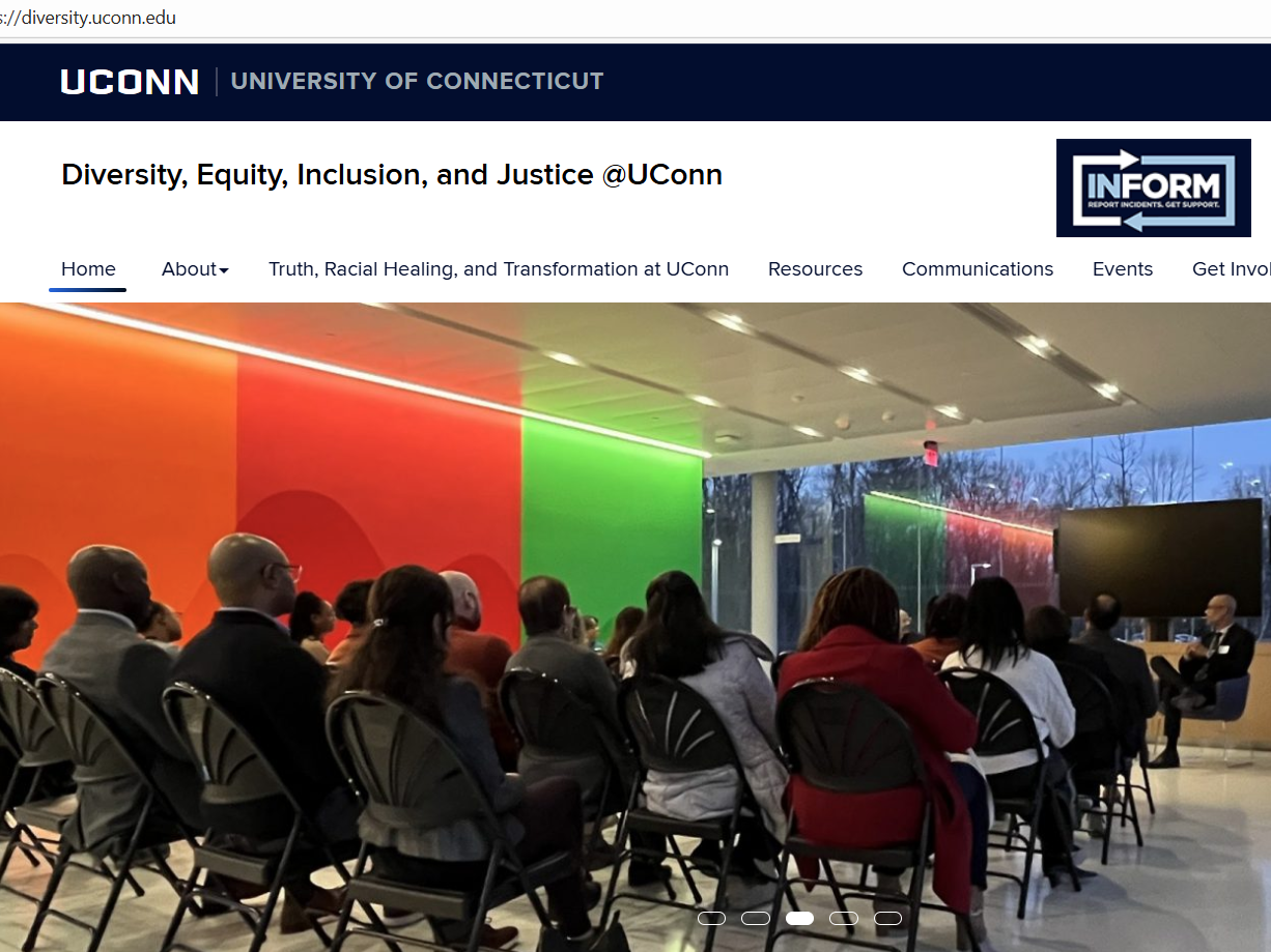 Diversity website Homepage preview