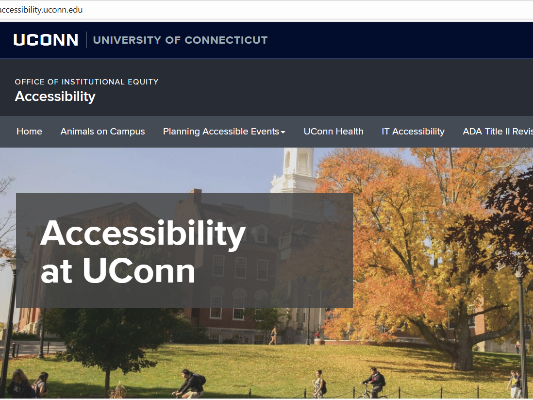 Accessibility Website Homepage preview